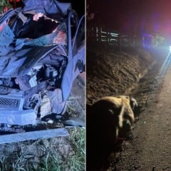 Foto: Pol&iacute;cia Militar/ Divulga&ccedil;&atilde;o 