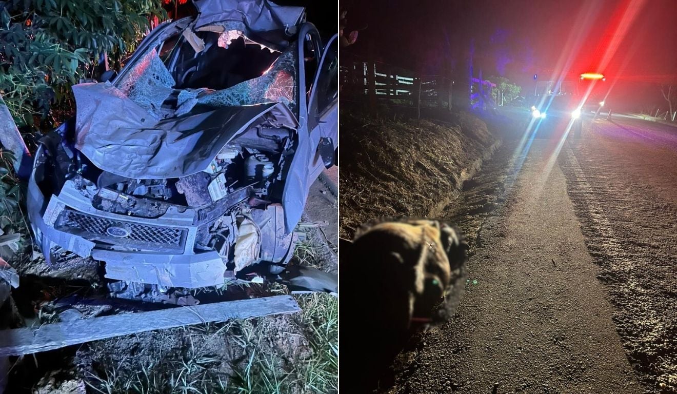 Foto: Polícia Militar/ Divulgação Foto: Polícia Militar/ Divulgação