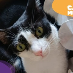 Foto: Acervo Pessoal