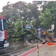 Resumo de not&iacute;cias desta quarta, dia 21 de janeiro de 2026