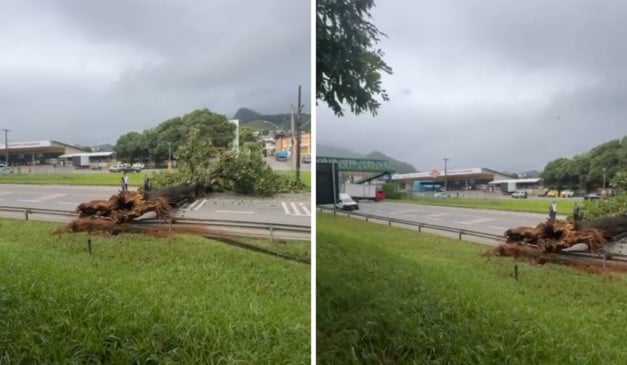 Foto: Rede Social/ Reprodução 