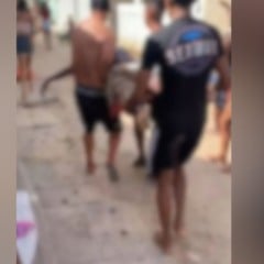 Reprodu&ccedil;&atilde;o/Jornal da Record