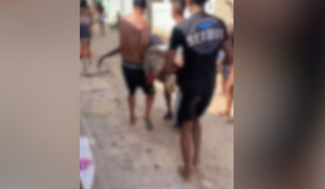 Reprodução/Jornal da Record Reprodução/Jornal da Record