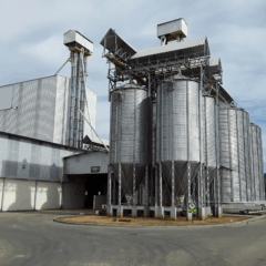 F&aacute;brica da Nater Coop em Baixo Guandu: Produtividade 30% maior com rob&ocirc; e solu&ccedil;&atilde;o para falta de m&atilde;o de obra. Cr&eacute;dito: Divulga&ccedil;&atilde;o