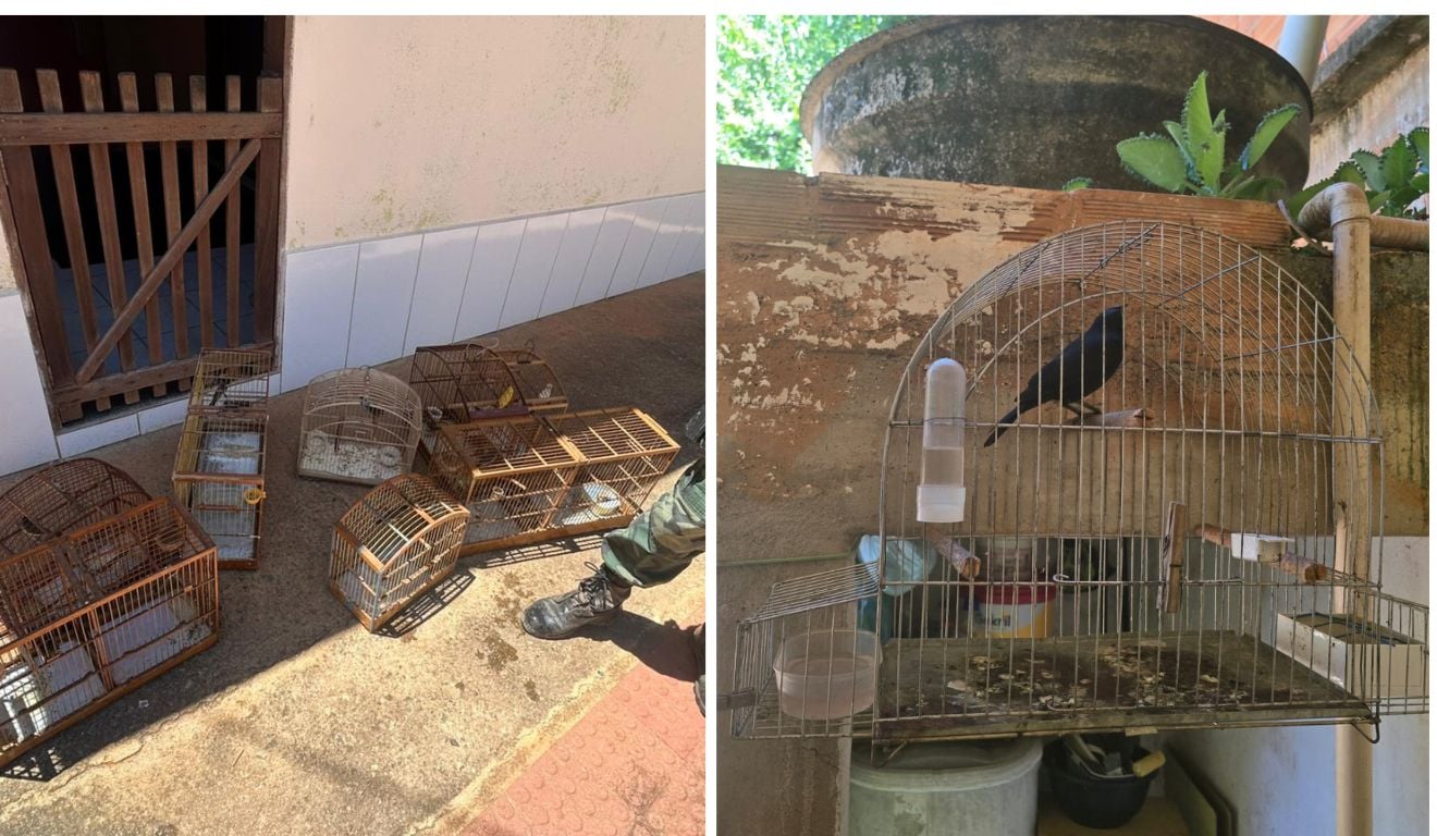 Fotos: Divulgação/BPMA Fotos: Divulgação/BPMA