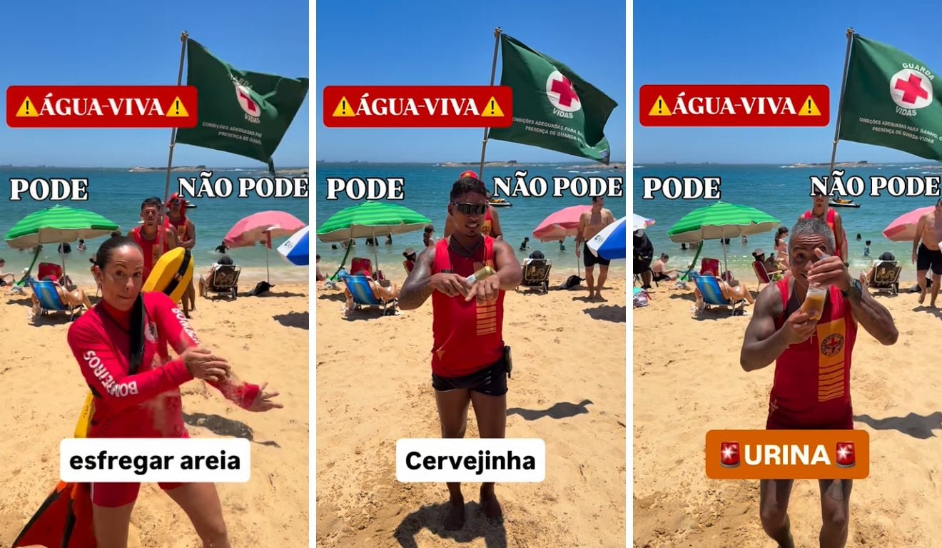 Bombeiros revelam o que usar ao encostar em água-viva