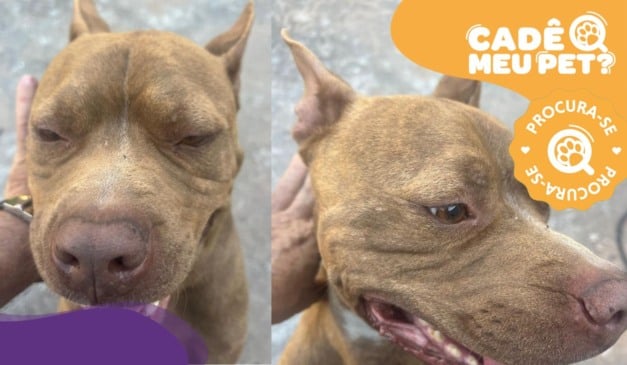 Foto: Acervo pessoal