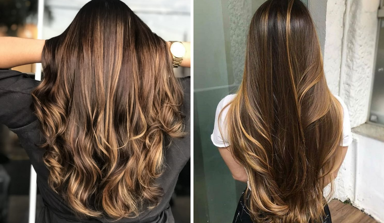 CASTANHOS ILUMINADOS