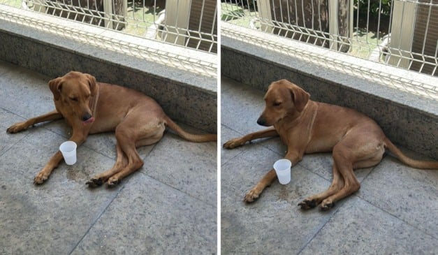 Reprodução/Arquivo Pessoal