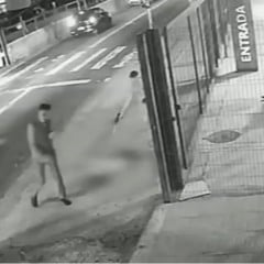 Cachorro &eacute; morto com dez tiros em frente a ponto de &ocirc;nibus em SP