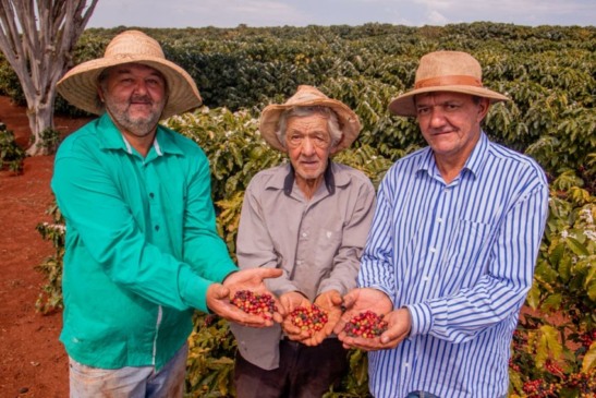 Brasil encerra o ano com 150 Indicações Geográficas reconhecidas