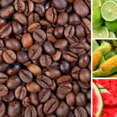 Caf&eacute; lim&atilde;o milho e melancia s&atilde;o alguns produtos do acordo Mercosul-UE