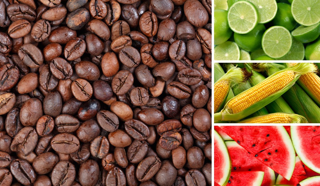 Café limão milho e melancia são alguns produtos do acordo Mercosul-UE