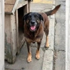 Foto: Reprodu&ccedil;&atilde;o/Redes Sociais