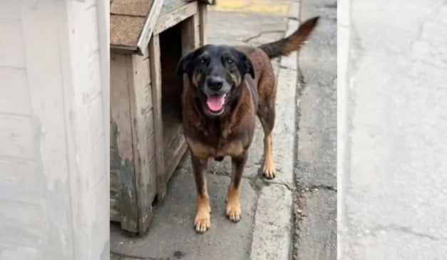 Foto: Reprodução/Redes Sociais