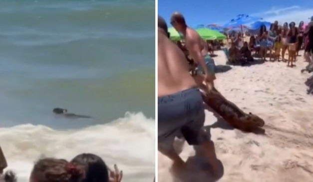 Foto: ES no Ar/ Reprodução 