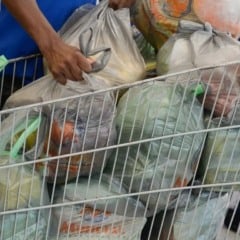 Cesta b&aacute;sica: Boa Vista (RR) foi a capital com a maior redu&ccedil;&atilde;o de pre&ccedil;o com -9,08% no valor no &uacute;ltimo semestre de 2025. Foto: Fernando Fraz&atilde;o/Ag&ecirc;ncia Brasil