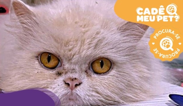 Foto: Acervo Pessoal