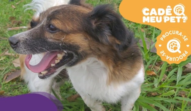 Foto: Acervo Pessoal