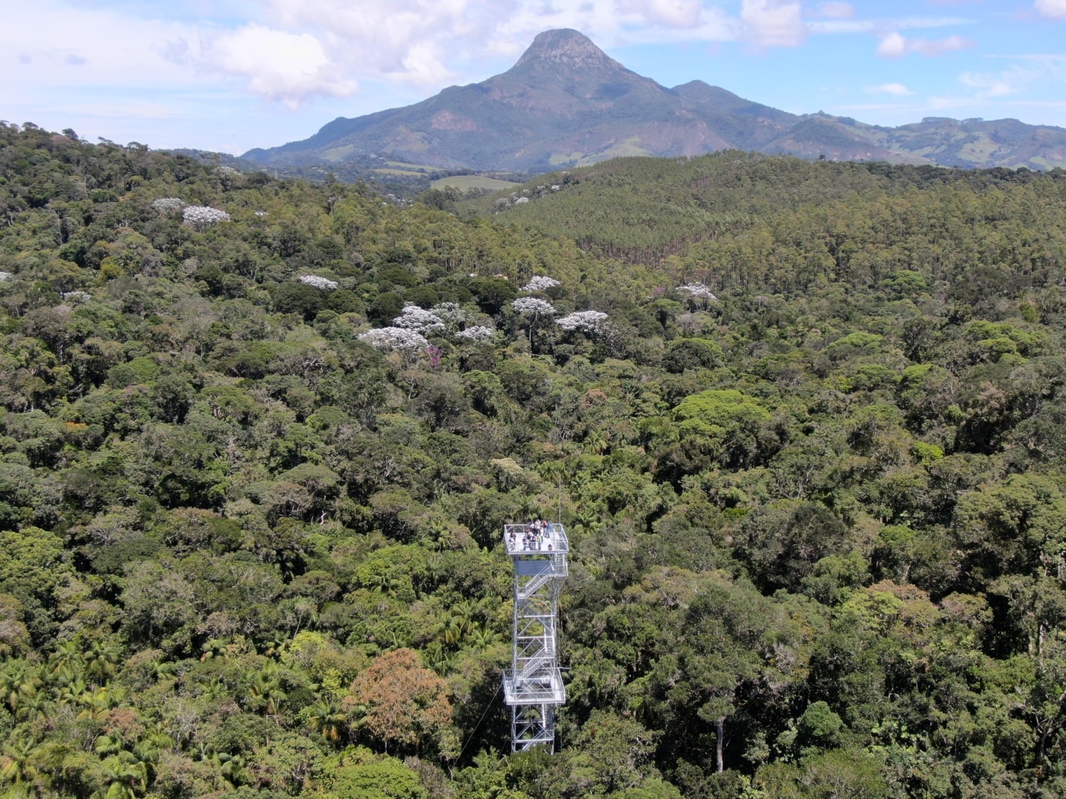 Reserva Kaetés. Créditos: Acervo Instituto Marcos Daniel Reserva Kaetés. Créditos: Acervo Instituto Marcos Daniel