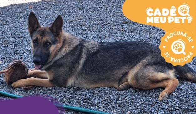 Foto: Acervo Pessoal