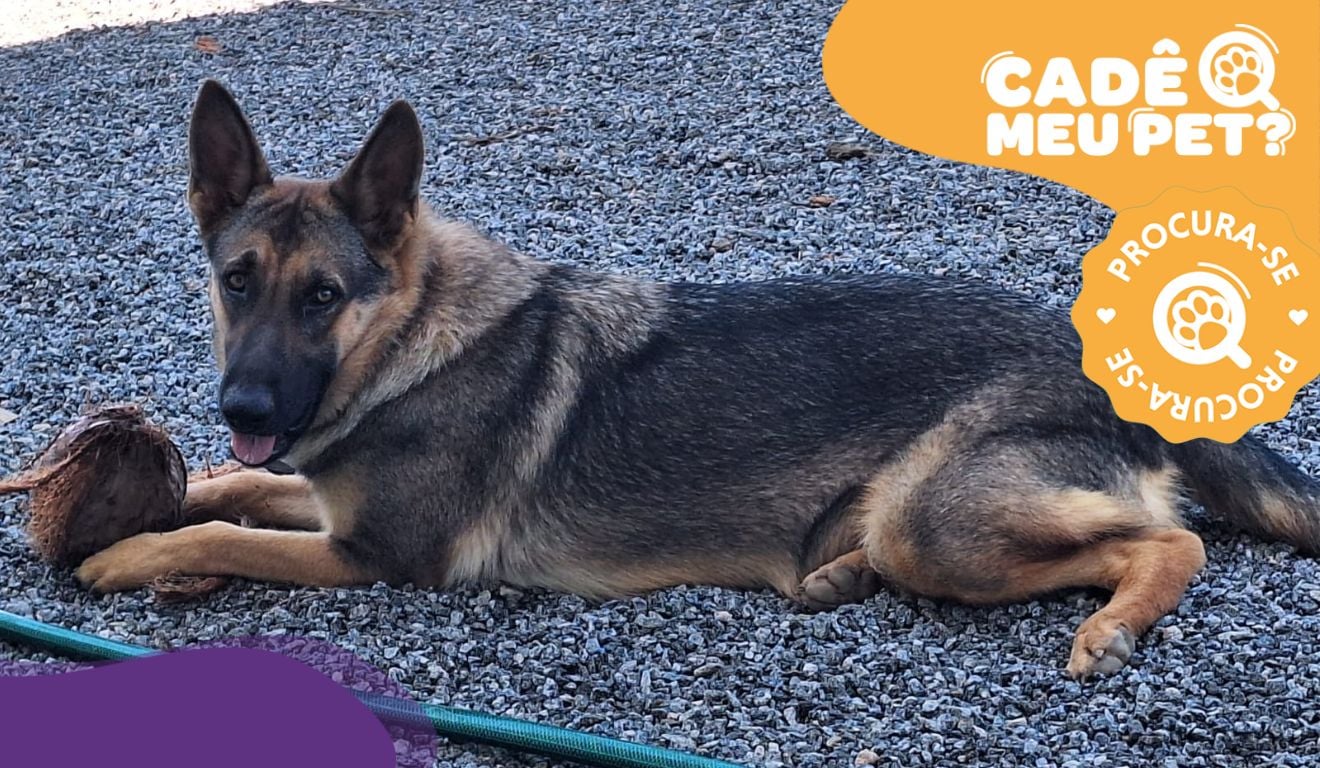 Foto: Acervo Pessoal