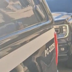 Reprodu&ccedil;&atilde;o/PCES