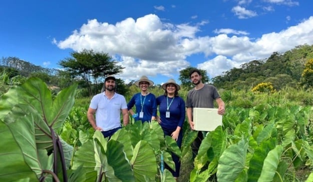 ES desenvolve novas variedades de inhame para aumentar produção