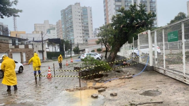 Árvore cai em Bento Ferreira (Foto: Thiago Soares)