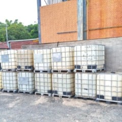 Opera&ccedil;&atilde;o Haras do Crime (Foto/reprodu&ccedil;&atilde;o: Pol&iacute;cia Civil)