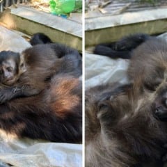 Foto: Reprodu&ccedil;&atilde;o/Redes sociais