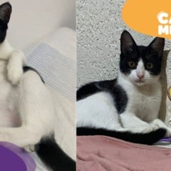 Foto: Acervo Pessoal