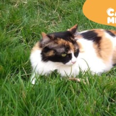 Reprodu&ccedil;&atilde;o/Arquivo Pessoal