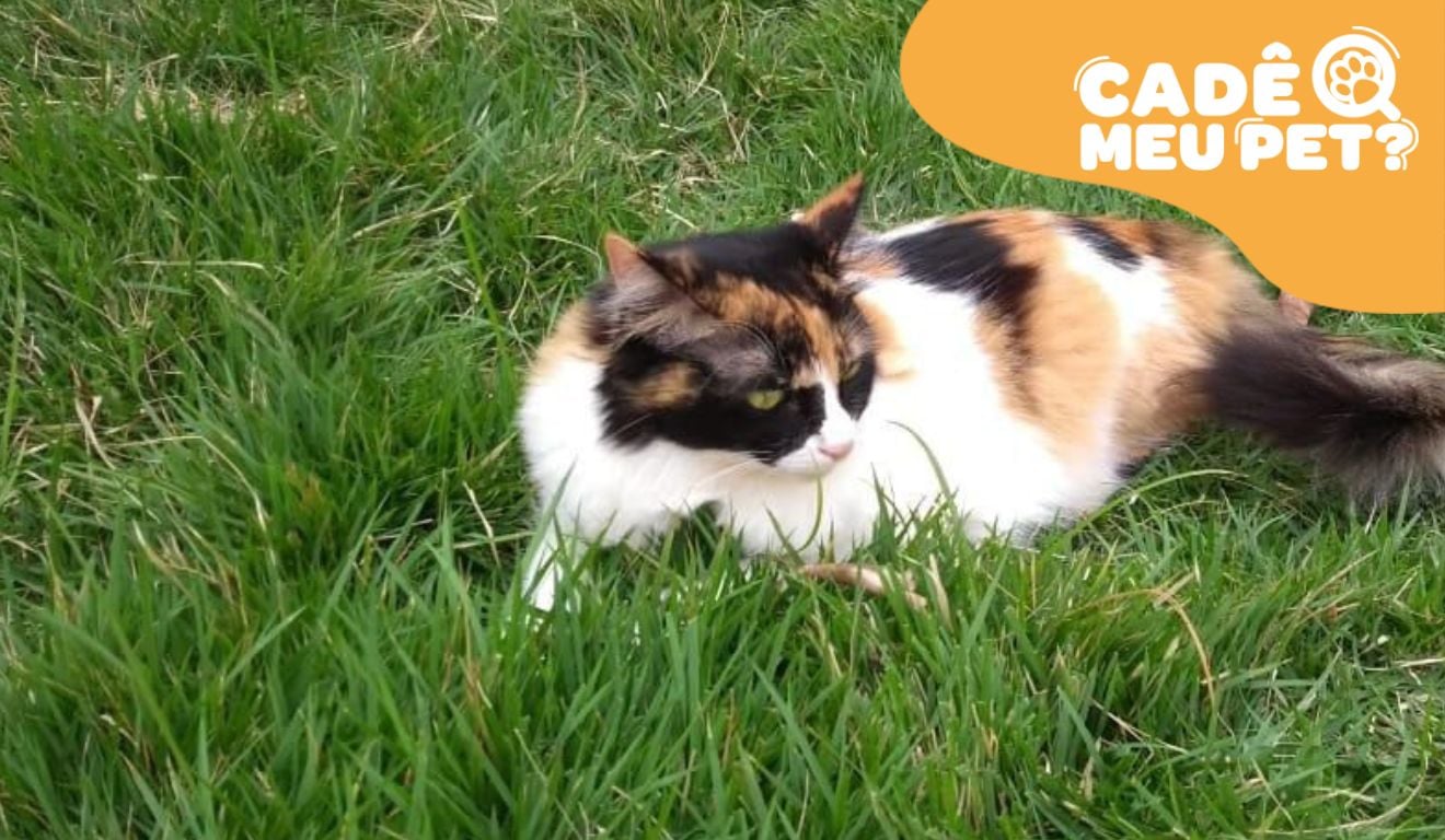 Reprodução/Arquivo Pessoal Reprodução/Arquivo Pessoal