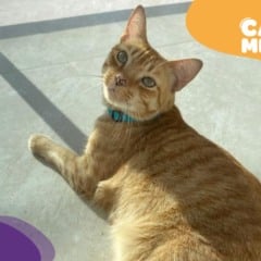 Foto: Acervo Pessoal