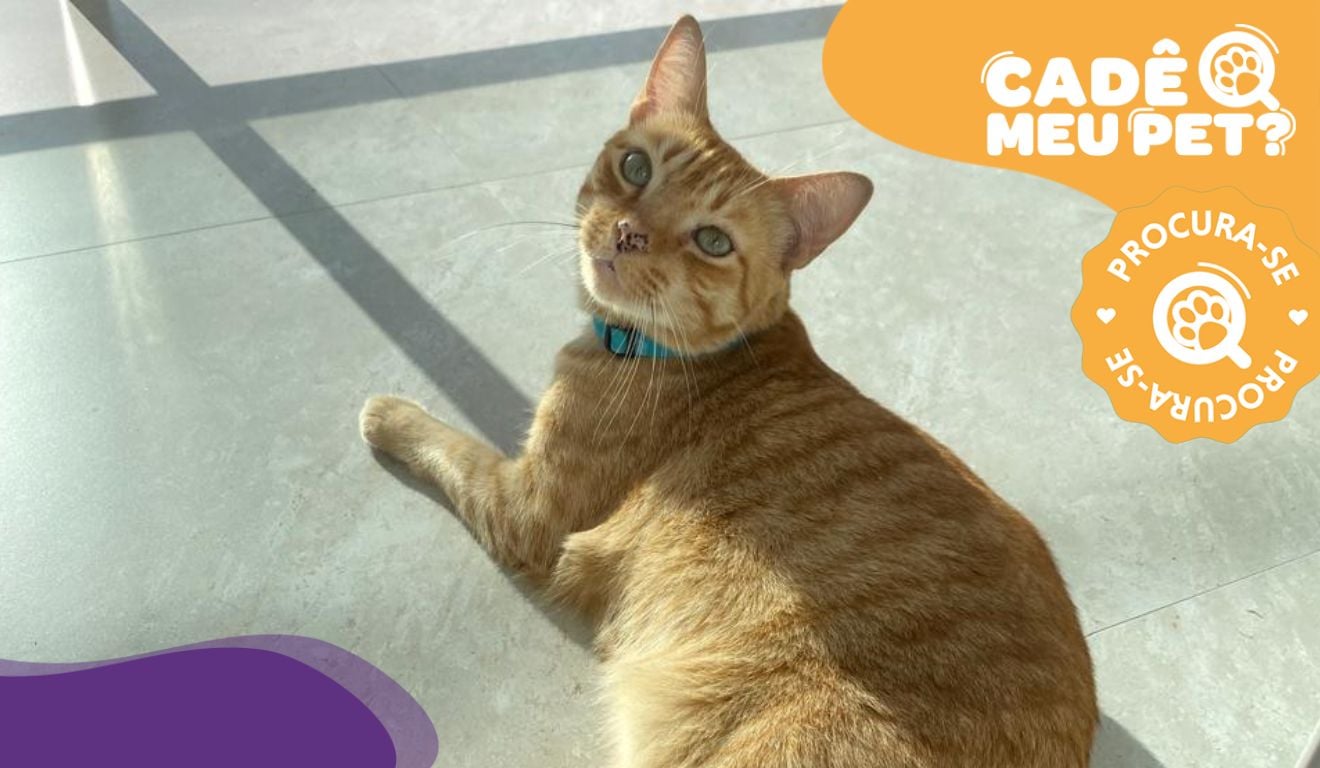 Foto: Acervo Pessoal Foto: Acervo Pessoal