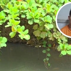 Homem &eacute; encontrado morto em val&atilde;o na Serra