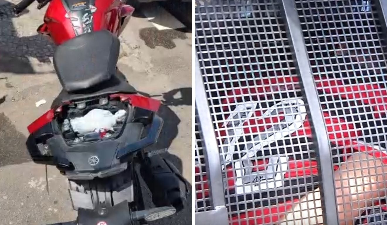 Foto: Reprodução/TV Vitória