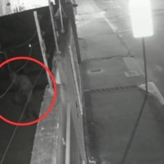 Foto: C&acirc;mera de seguran&ccedil;a/ Reprodu&ccedil;&atilde;o 