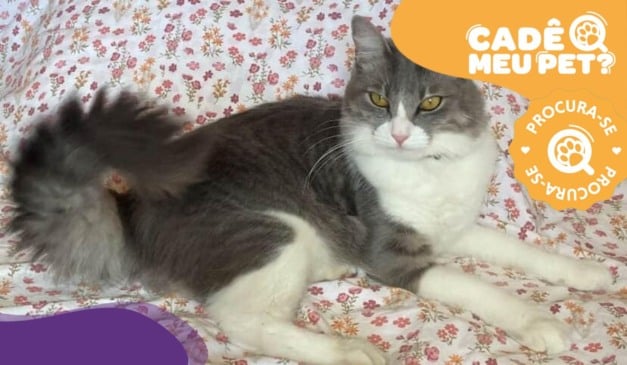 Foto: Acervo Pessoal