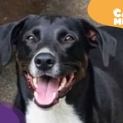 Foto: Acervo pessoal