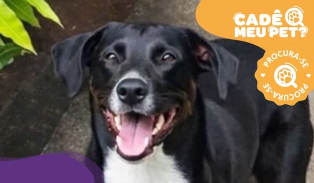 Foto: Acervo pessoal