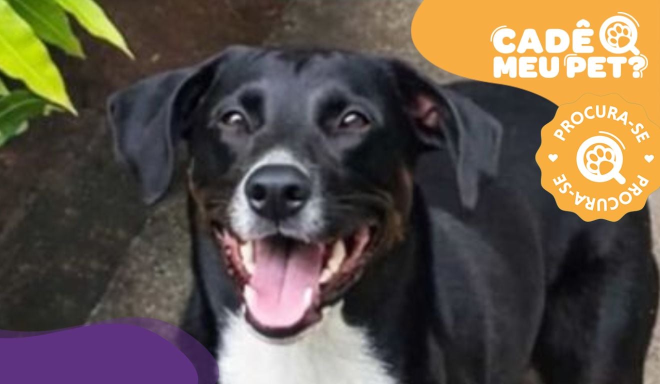 Foto: Acervo pessoal