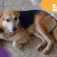 Foto: Acervo pessoal