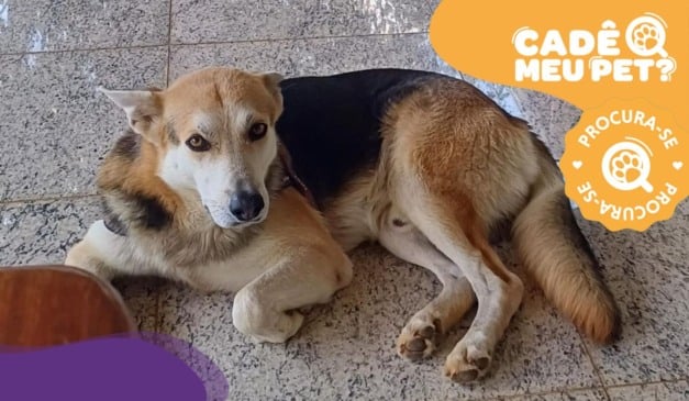 Foto: Acervo pessoal