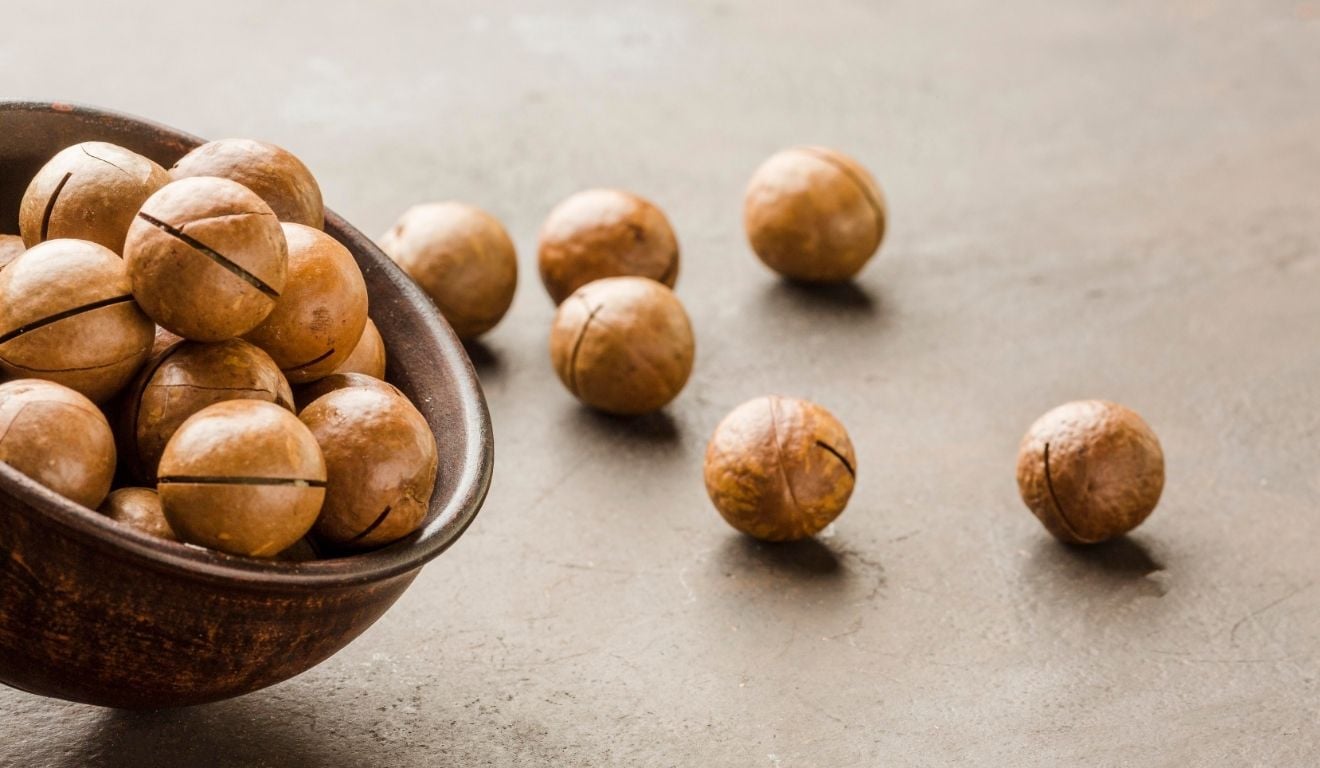 Toda a produção e exportação de macadâmia do Espírito Santo têm origem em São Mateus. Foto: Freepik Toda a produção e exportação de macadâmia do Espírito Santo têm origem em São Mateus. Foto: Freepik