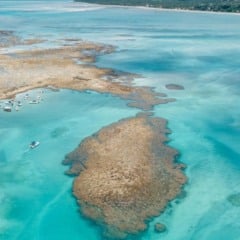 Foto: Lucas Meneses/ Governo do Alagoas 