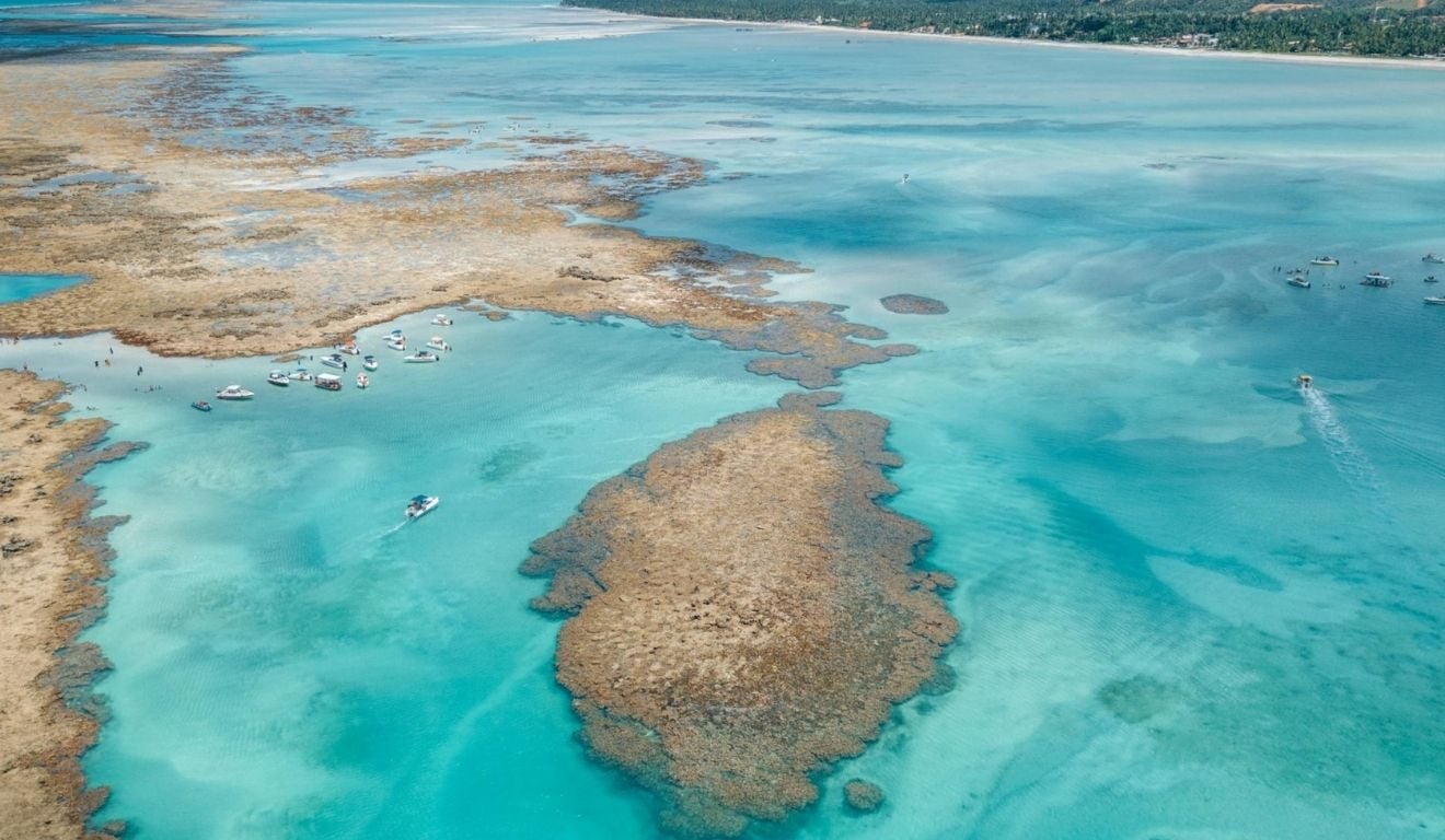 Foto: Lucas Meneses/ Governo do Alagoas Foto: Lucas Meneses/ Governo do Alagoas