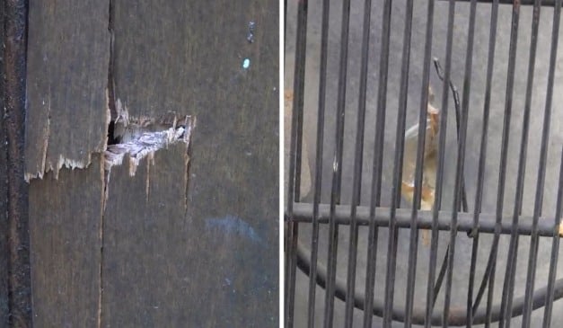 Marcas de disparos foram registradas em portas, cercas e geladeira. Foto: Reprodução/TV Vitória.