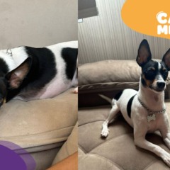 Foto: Acervo pessoal